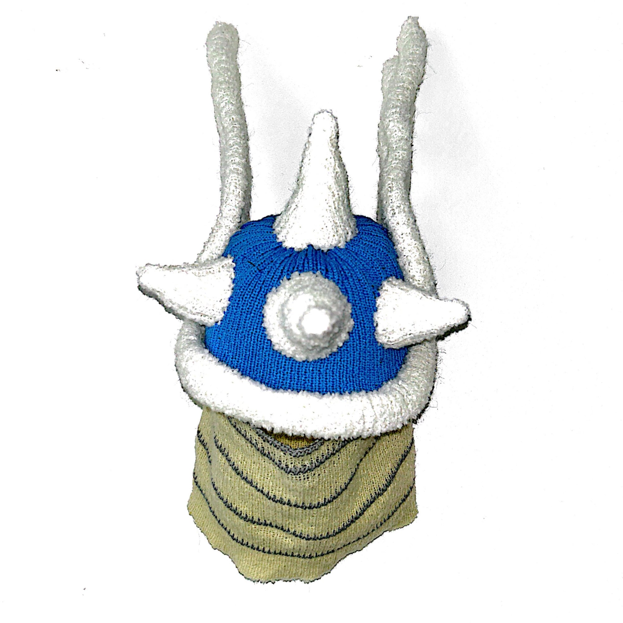 CARAPACE BLEU