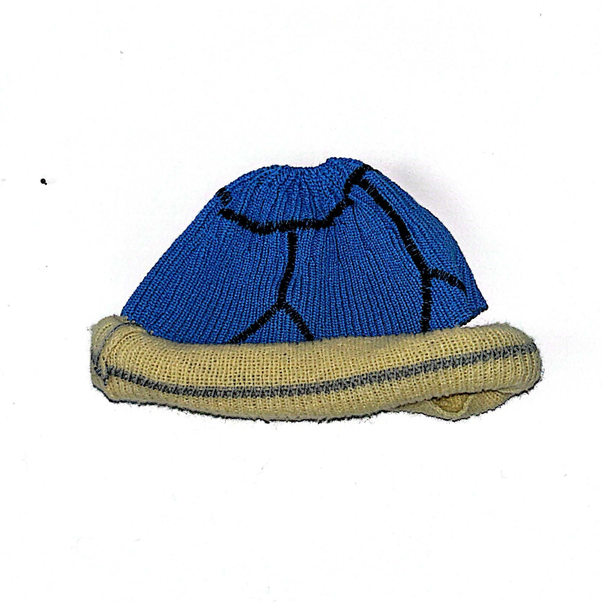 CARAPACE