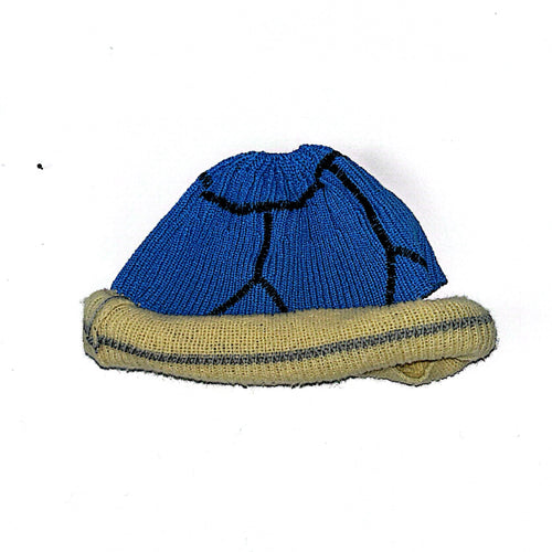 CARAPACE