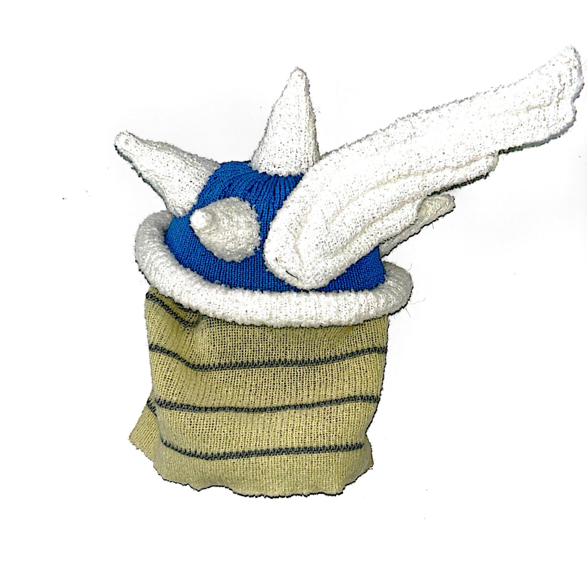 CARAPACE BLEU